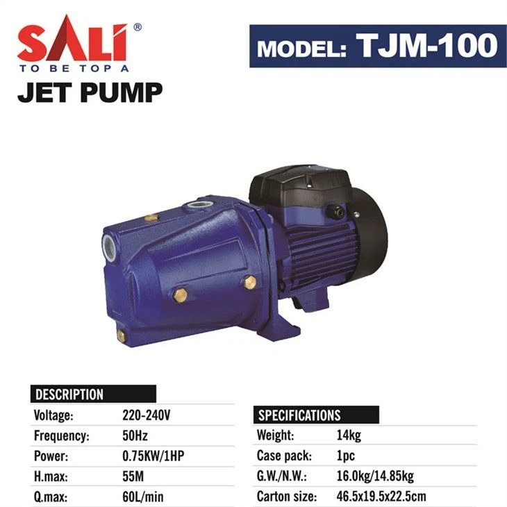 centrifugal pump  (10)